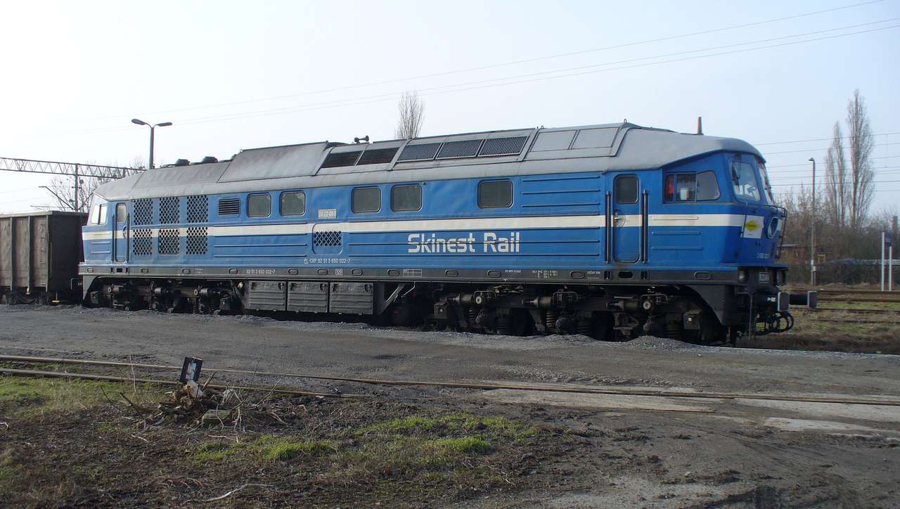 Lyudmila BR232 408-5 Skinest Rail online παζλ