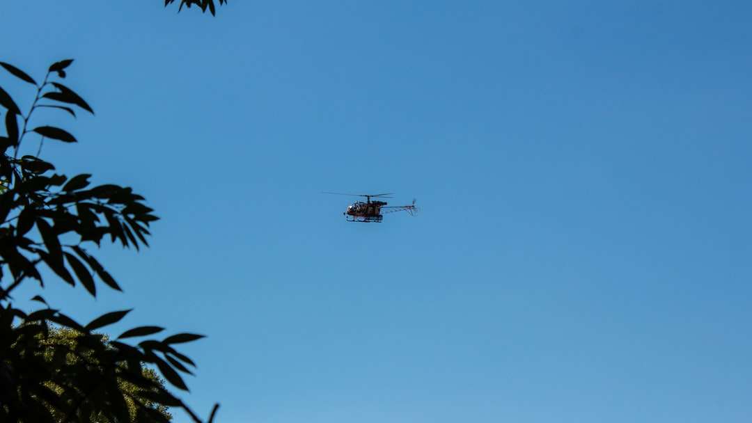 Helicóptero negro sobrevolando palmeras verdes durante el día rompecabezas en línea