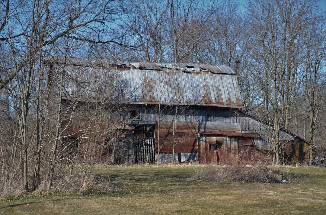casa in legno marrone vicino agli alberi spogli durante il giorno puzzle online