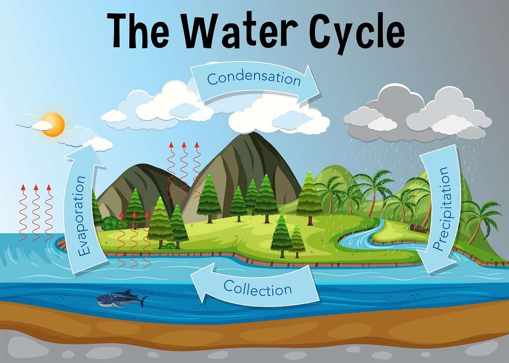 De Water cyclus legpuzzel online