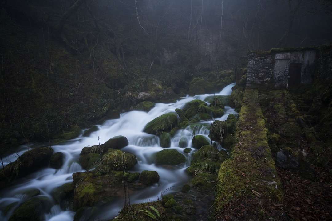 proud vody uprostřed lesa skládačky online