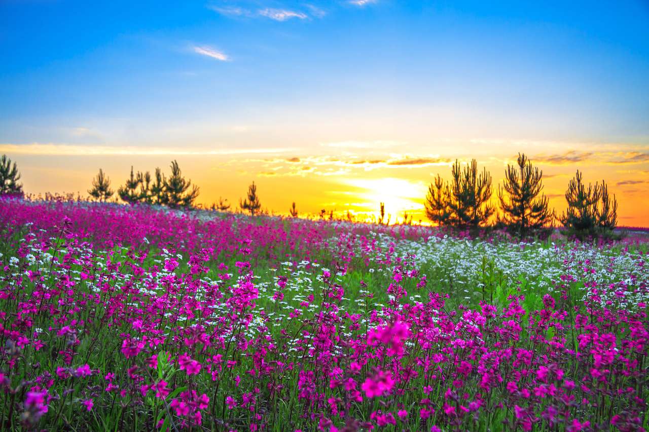 Схід сонця і квіти онлайн пазл