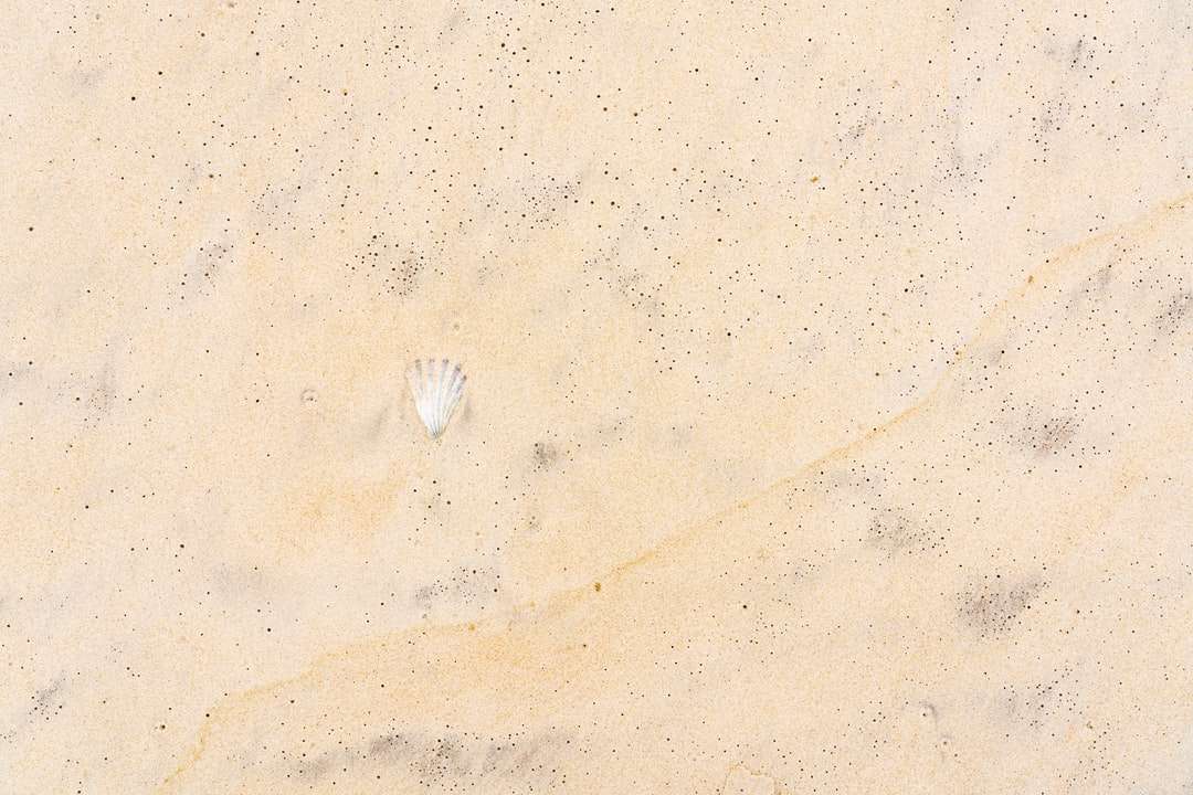 λευκό πουλί σε γκρι άμμο παζλ online