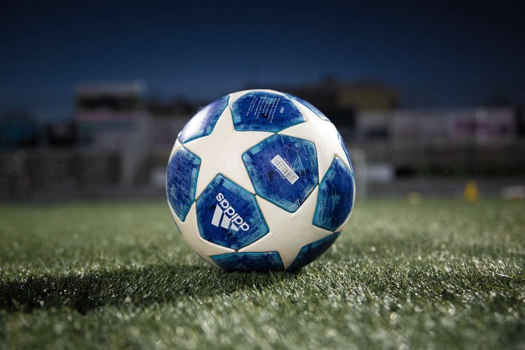 Balón de fútbol blanco y azul en el campo de hierba verde rompecabezas en línea