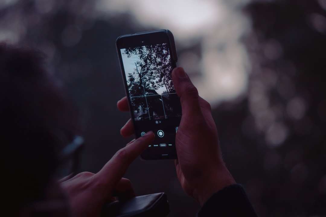 Personne tenant un iphone 4 noir prenant une photo d'arbres puzzle en ligne