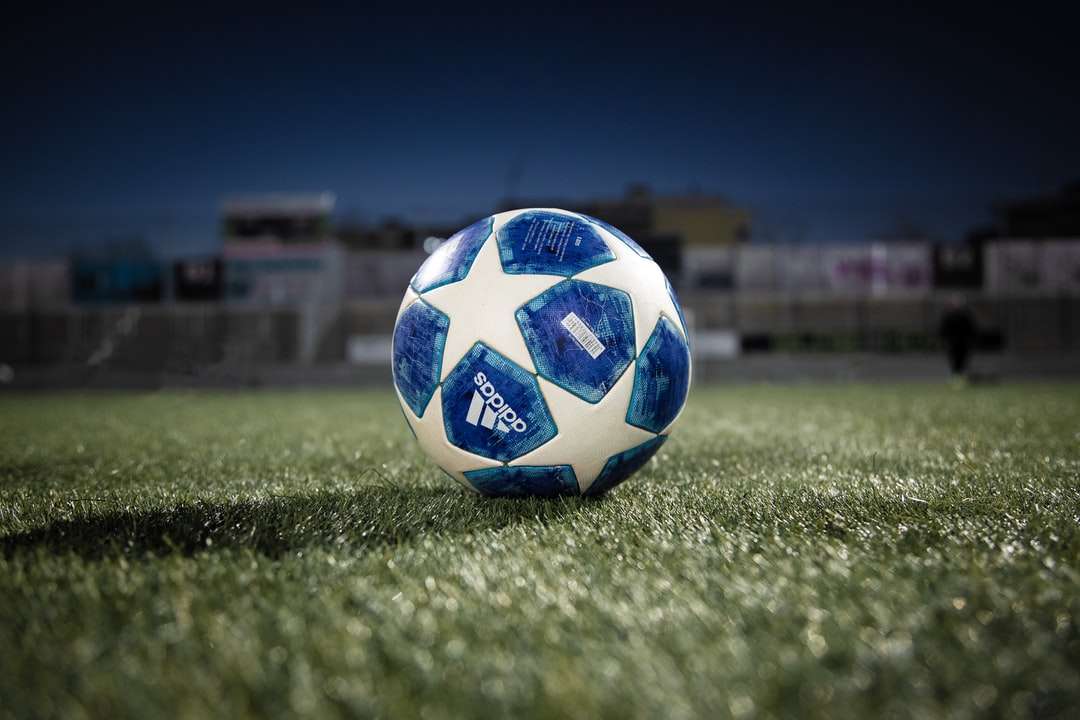 білий синій футбольний м'яч на зеленому трав'яному полі в денний час онлайн пазл