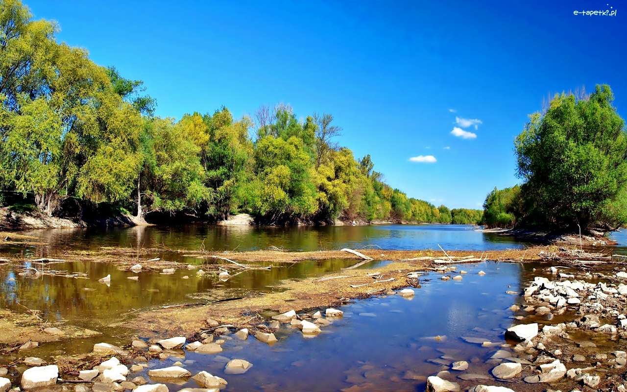 River, Trees, Stones jigsaw puzzle