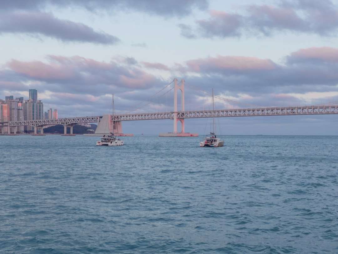 昼間の橋の下の海の白いボート ジグソーパズルオンライン