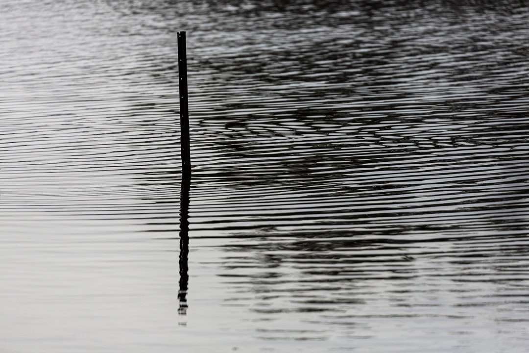 bâton noir sur un plan d'eau pendant la journée puzzle en ligne