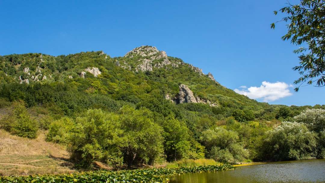 grüne Bäume auf Berg nahe See während des Tages Puzzlespiel online