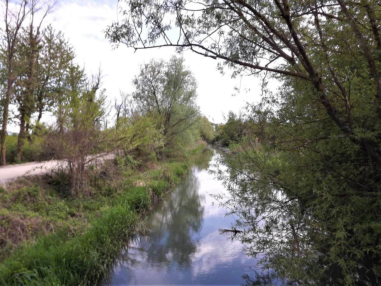 WATER COURSE. jigsaw puzzle online