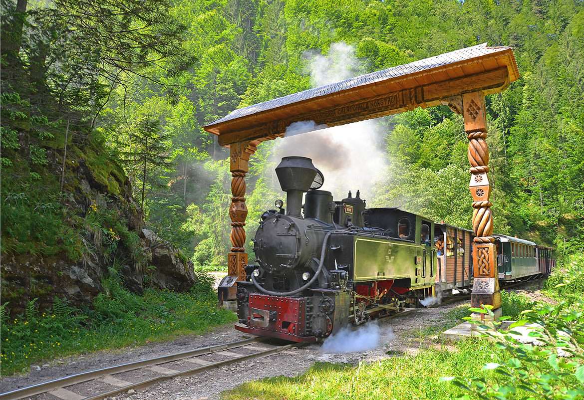 Wassertalbahn in Maramures in Rumänien Online-Puzzle
