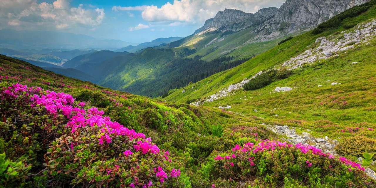 Národní park Retezat v Rumunsku online puzzle