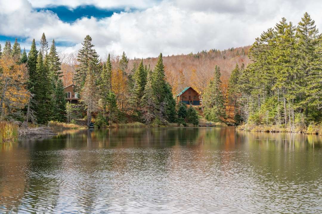 коричневий будинок біля зелених дерев та озера вдень пазл онлайн