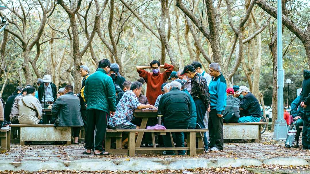 persone sedute sulla panca di legno marrone durante il giorno puzzle online