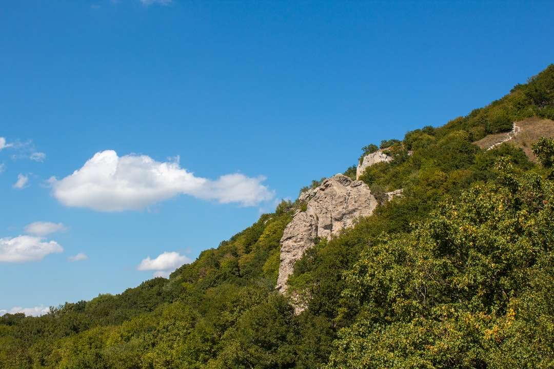зелени дървета на планина под синьо небе през деня онлайн пъзел