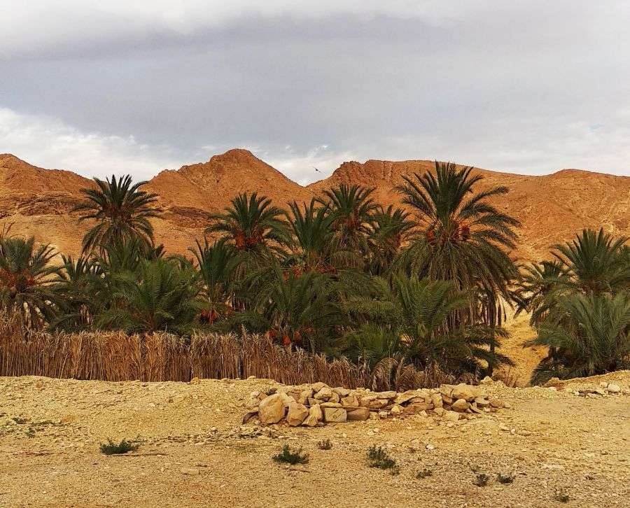 Sahara und das Atlasgebirge Online-Puzzle