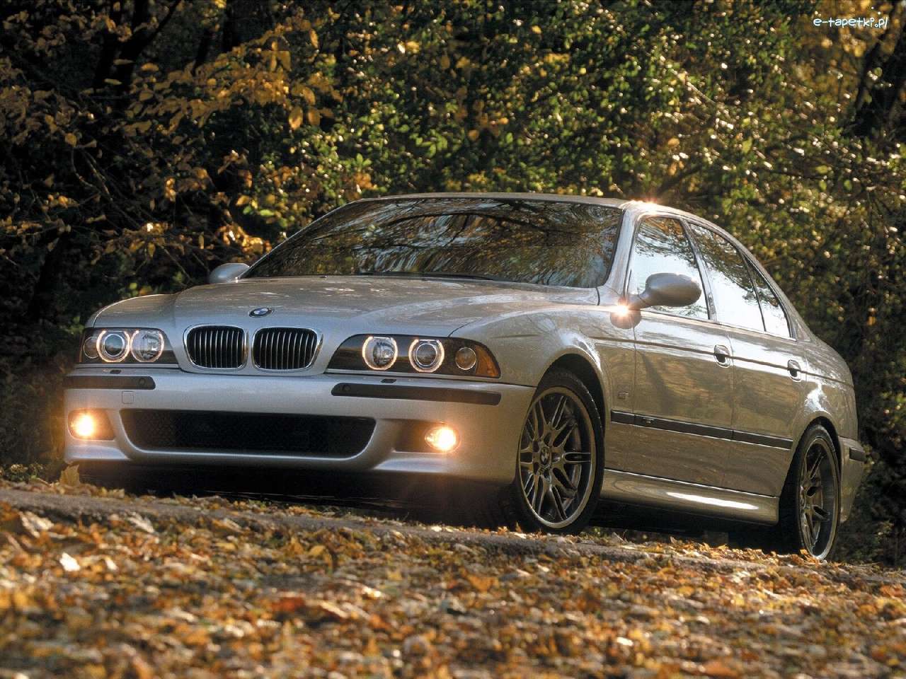 BMW Mシリーズ、BMW 5、E39 オンラインパズル