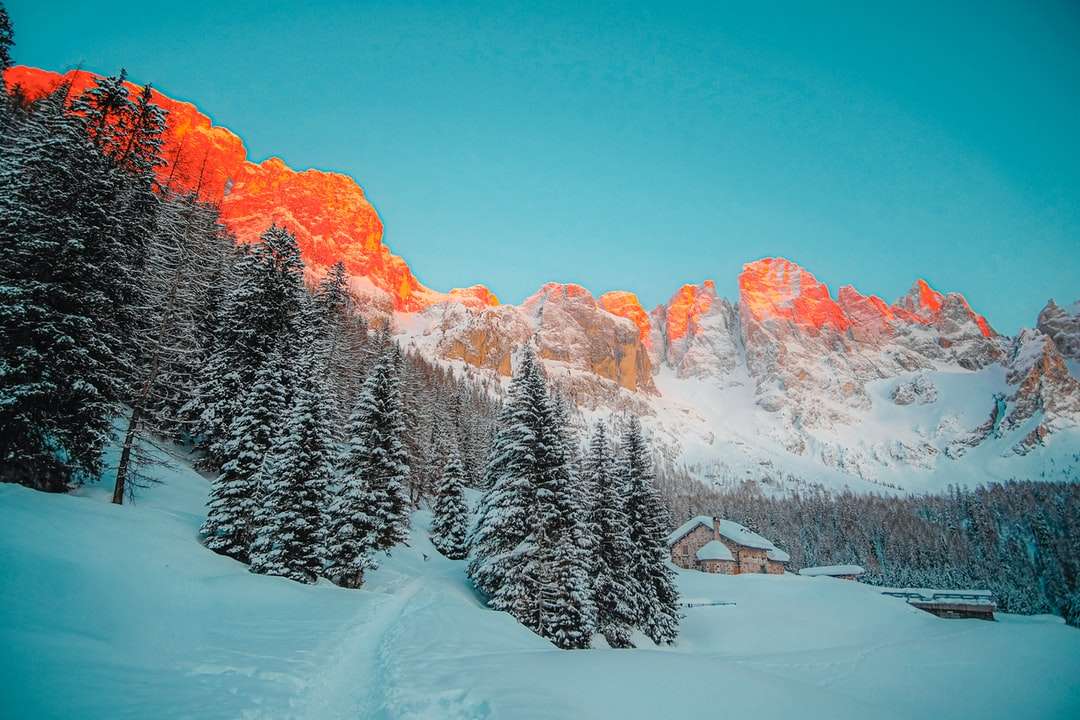 pinheiros e montanhas cobertos de neve durante o dia puzzle online