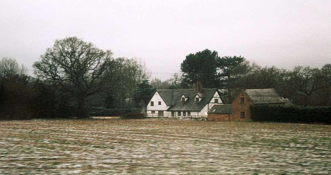 casa branca e marrom perto de árvores verdes e corpo d'água quebra-cabeças online