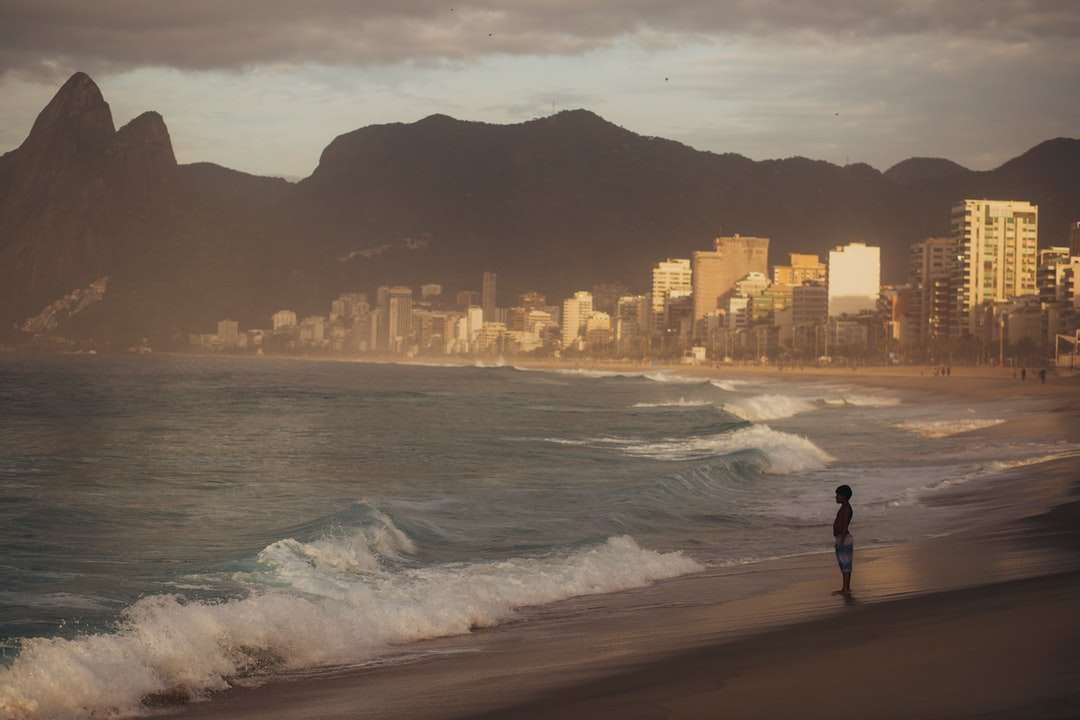 persona in piedi in riva al mare durante il giorno puzzle online