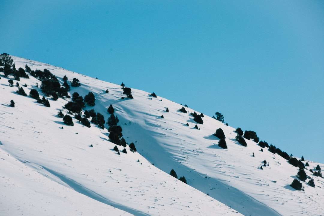 昼間は青空の下で雪に覆われた山 オンラインパズル