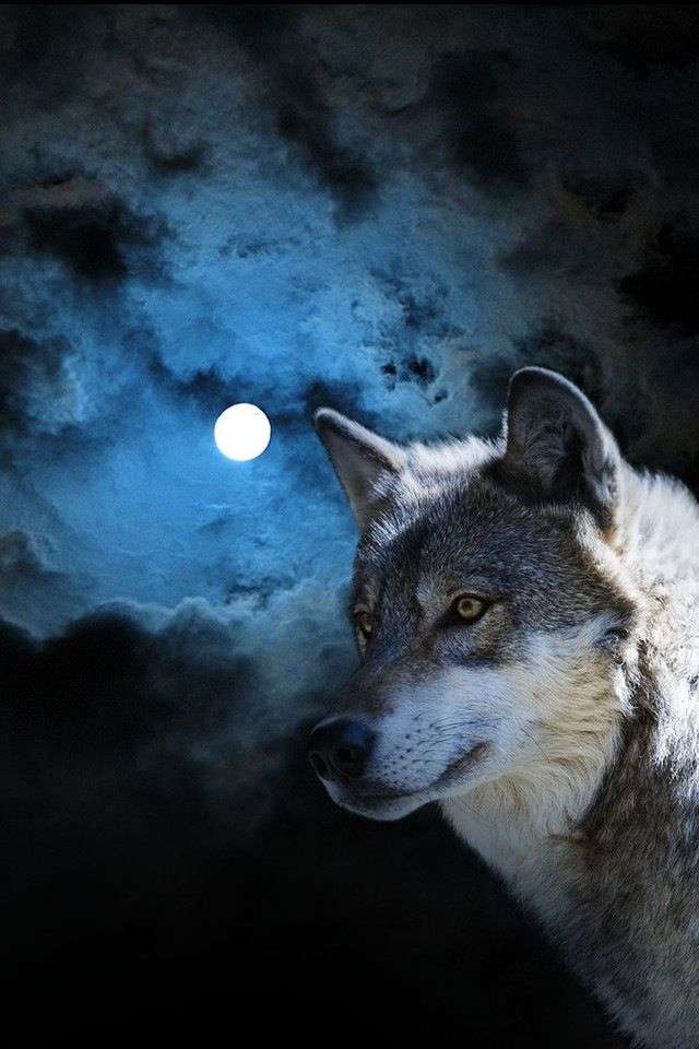 wolf-volle maan online puzzel