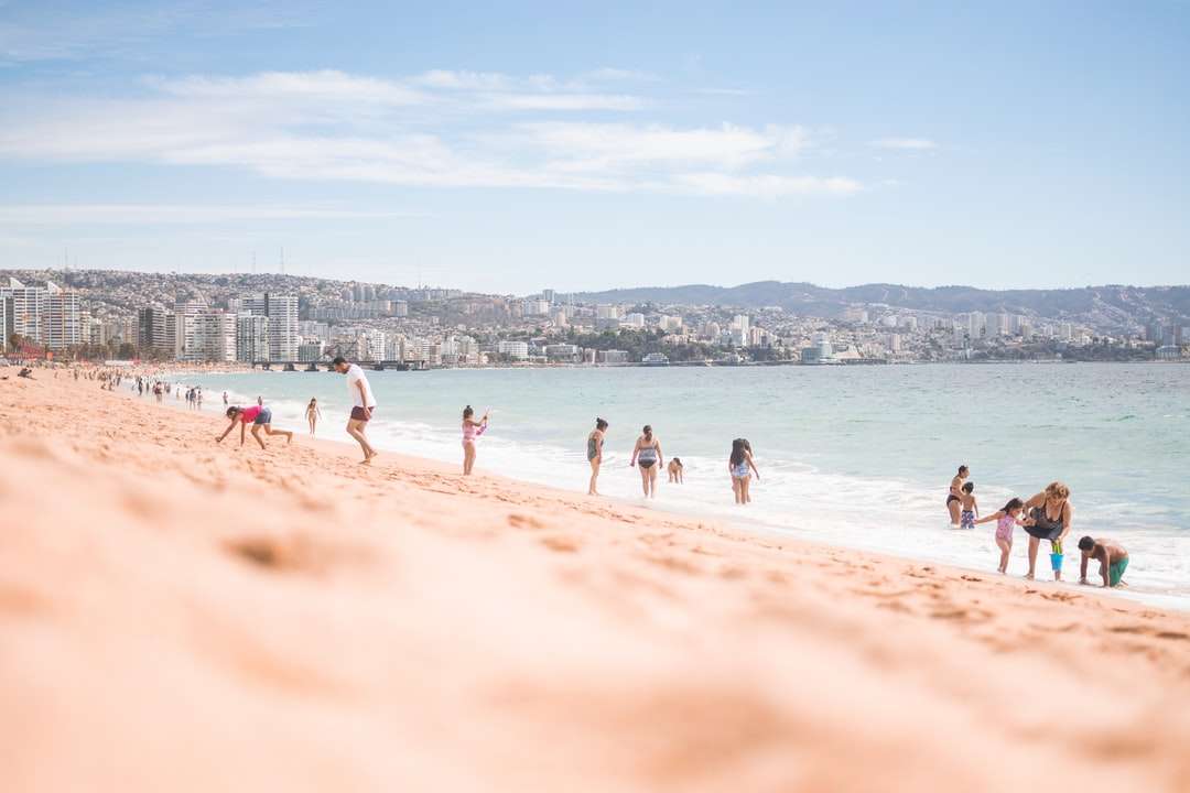 oameni pe plajă în timpul zilei puzzle online