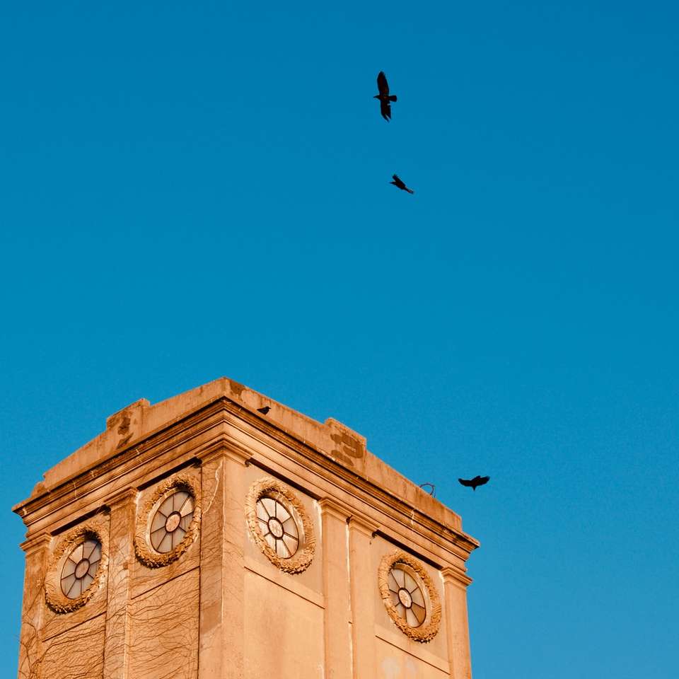 svart fågel som flyger över brun betongbyggnad Pussel online
