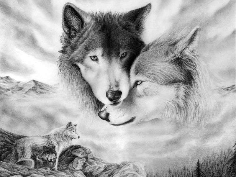 Тварини дикої природи: Альфа-вовки пазл онлайн