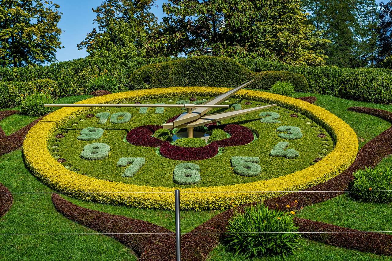 pelouse verte - horloge puzzle en ligne