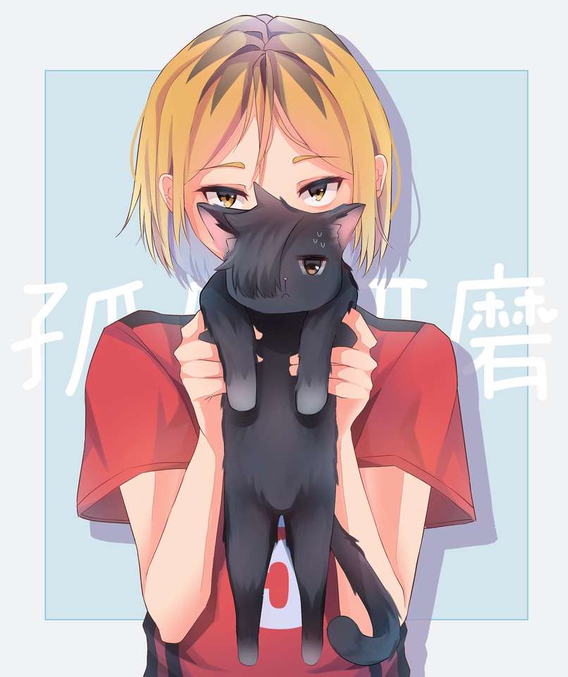 Кенма Кодзуме и кот Куроо онлайн-пазл