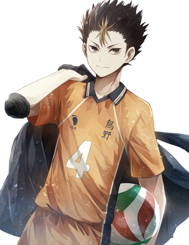 Nishinoya in 2023  Haikyuu nishinoya, Nishinoya, Noya haikyuu