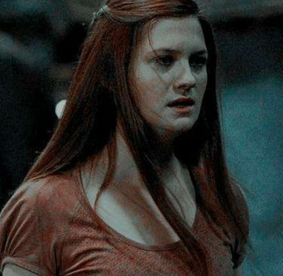 Ginny Weasley Pussel online