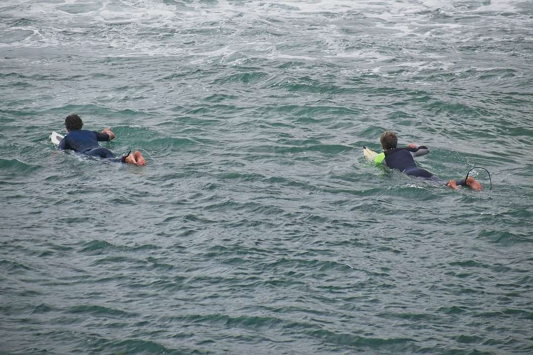 2 pessoas em traje de mergulho azul e preto no corpo d'água puzzle online