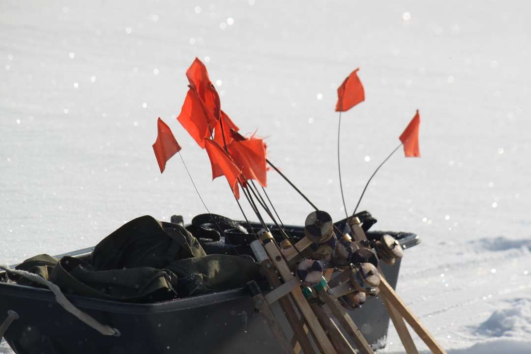 Person, die tagsüber auf schneebedecktem Boden auf einem Boot fährt Puzzlespiel online