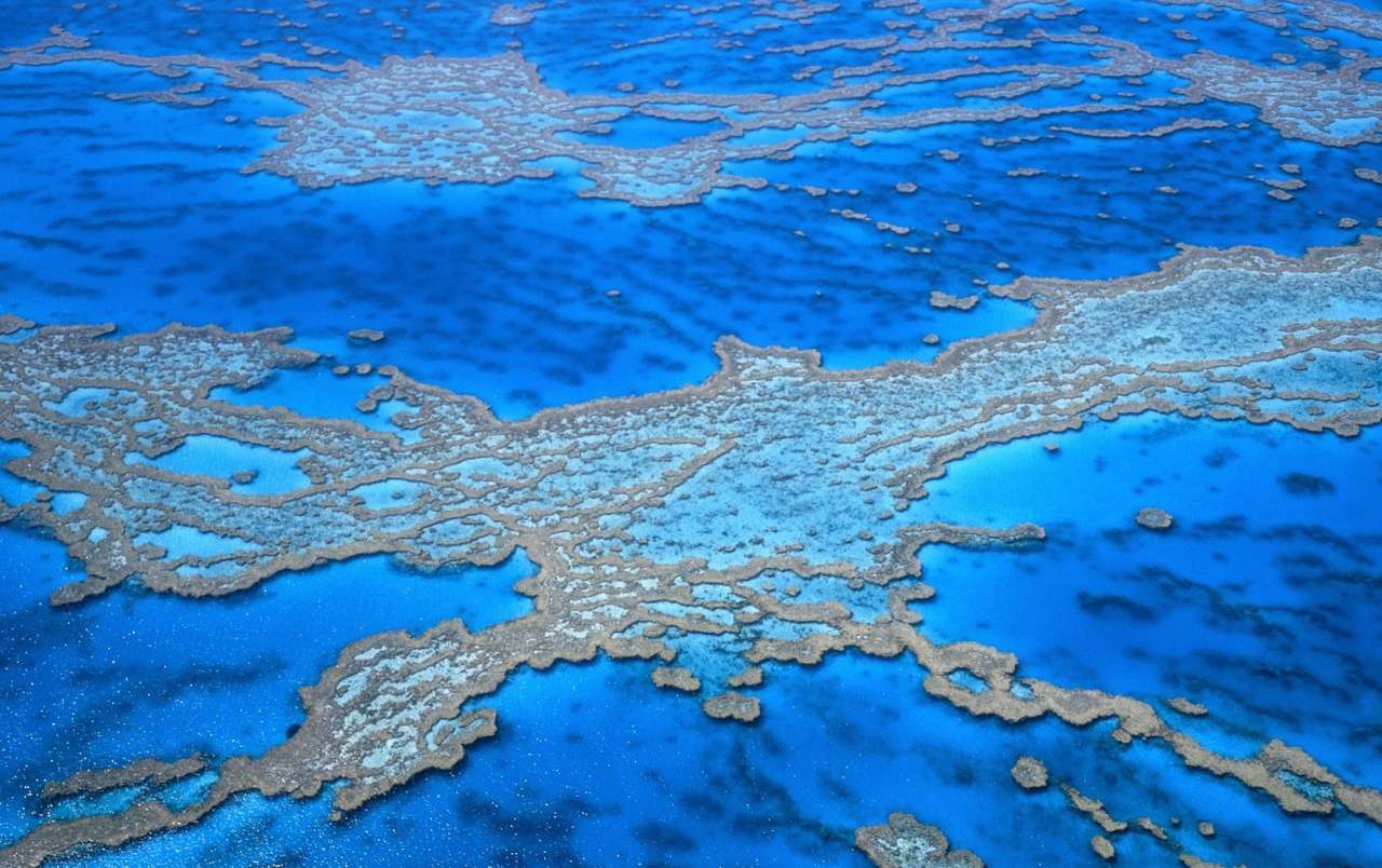 A világ tájai: Korallzátony Ausztrália kirakós online