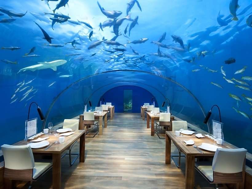 víz alatti étterem kirakós online
