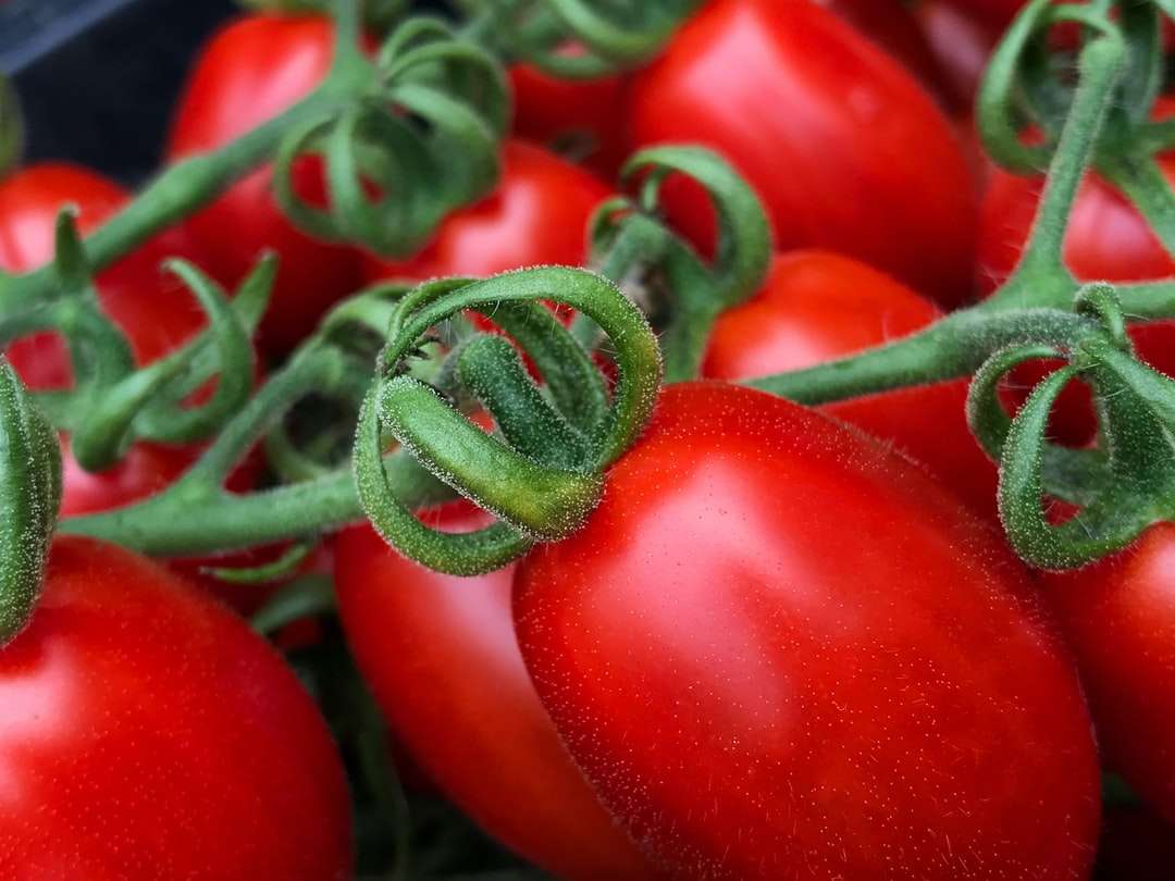 красные помидоры на фотографии крупным планом онлайн-пазл
