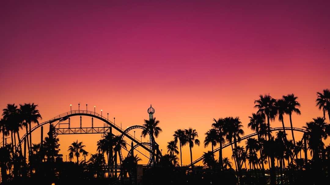 silhouette di palme durante il tramonto puzzle online