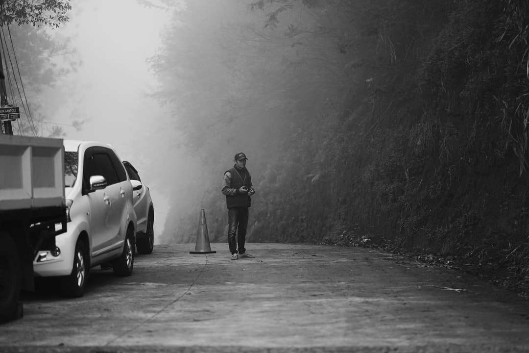 grijswaardenfoto van man die naast auto staat online puzzel