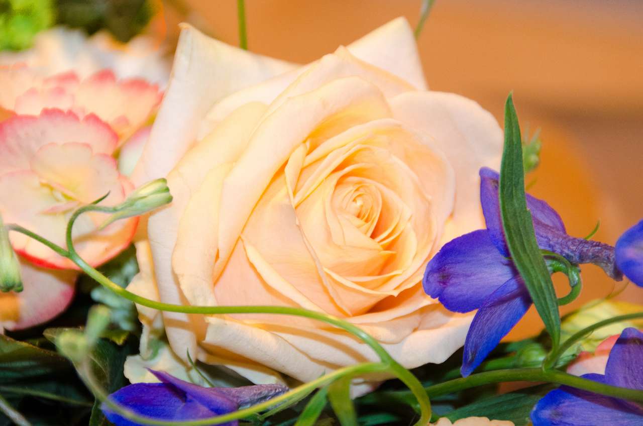 Κίτρινο τριαντάφυλλο και μπλε λουλούδια online παζλ