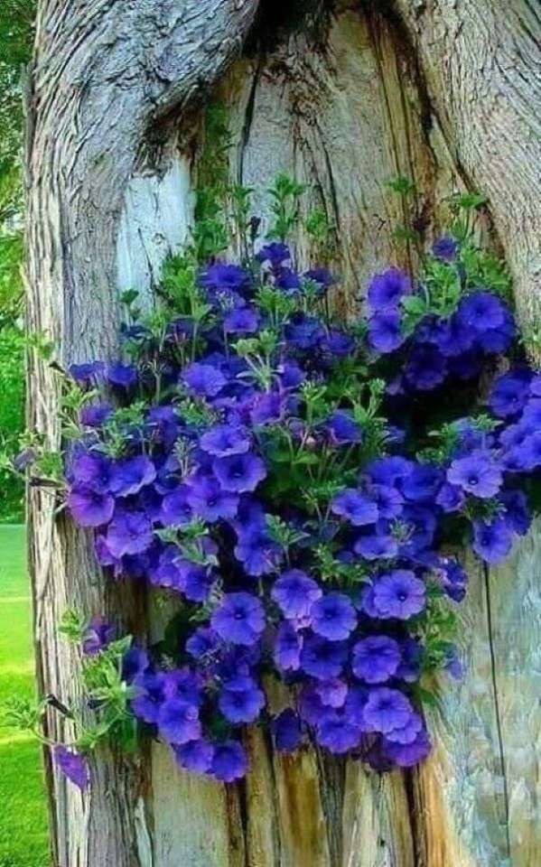 Синие цветы на дереве пазл онлайн