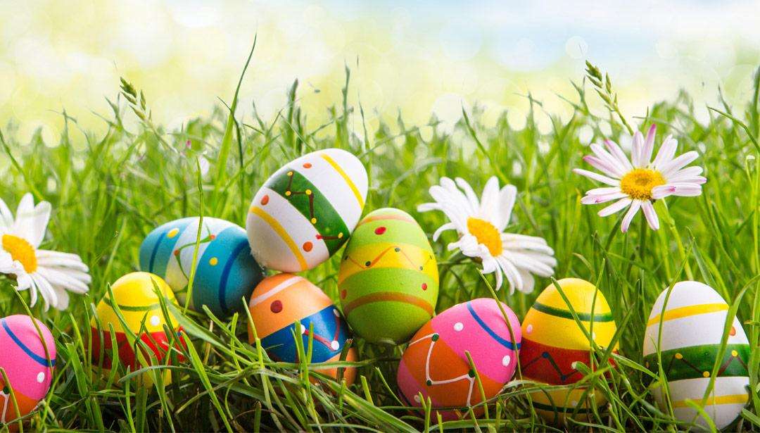 Huevos de Pascua coloridos en el prado rompecabezas en línea