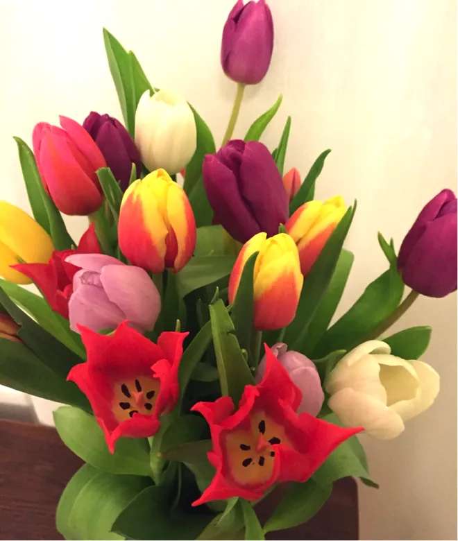 Пасха Разноцветные тюльпаны Пасхальный букет пазл онлайн