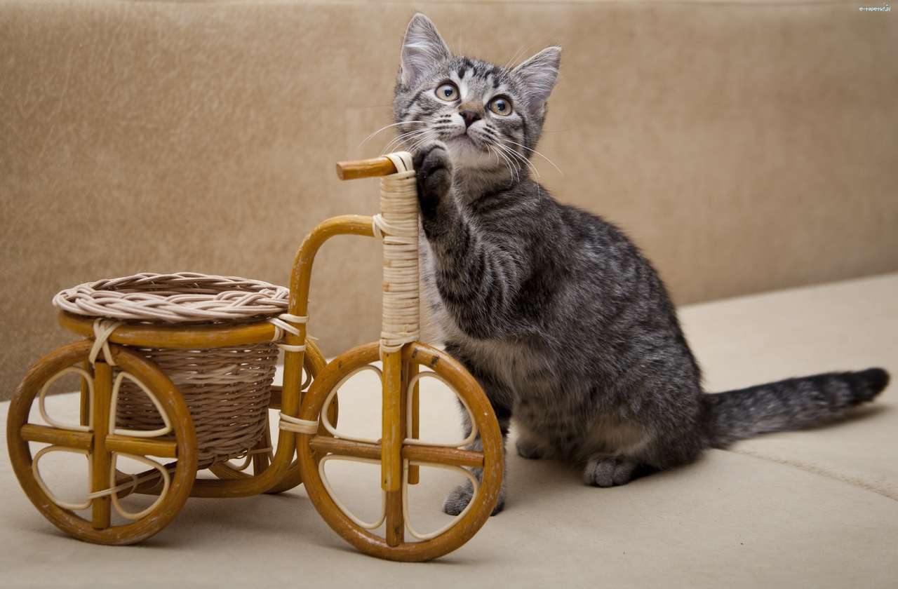 a kitten next to a wicker bicycle online puzzle