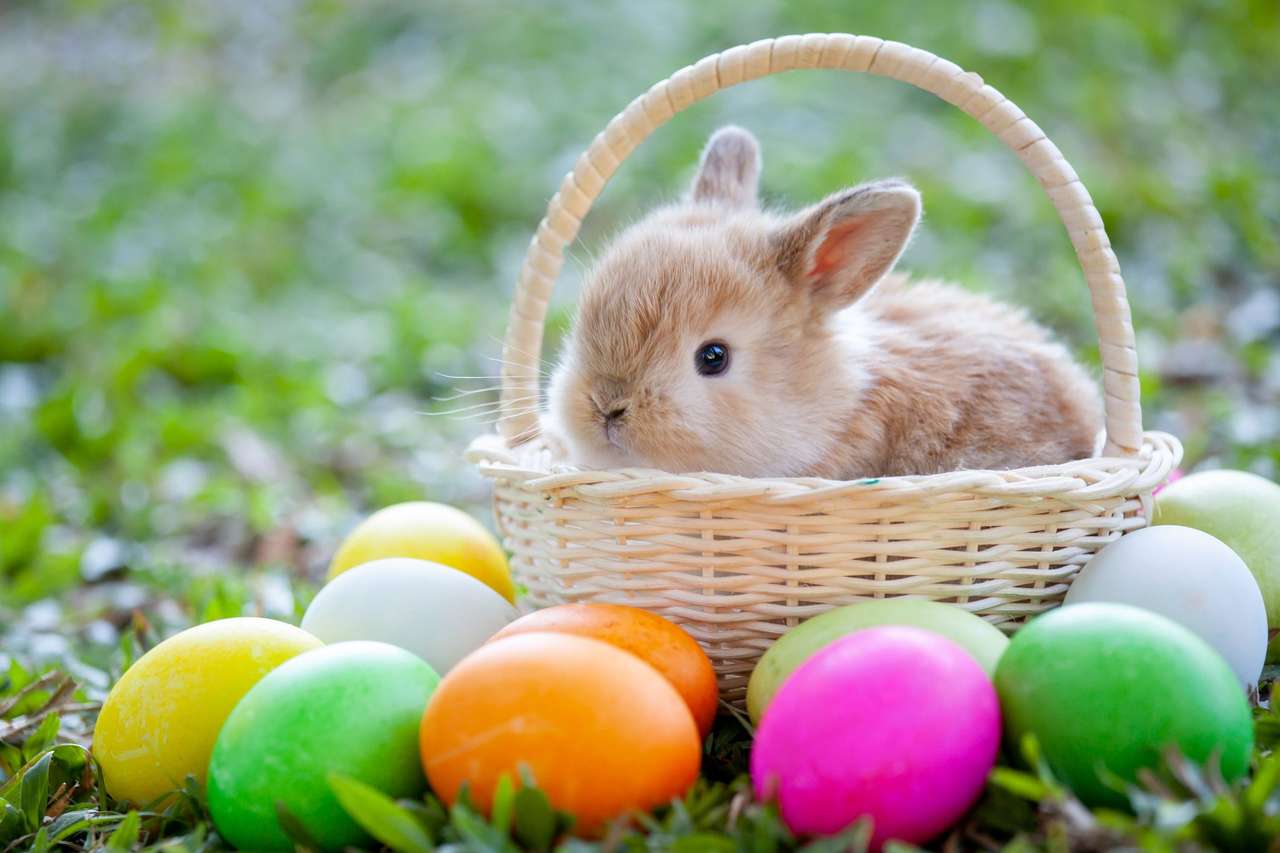 Easter bunny online παζλ