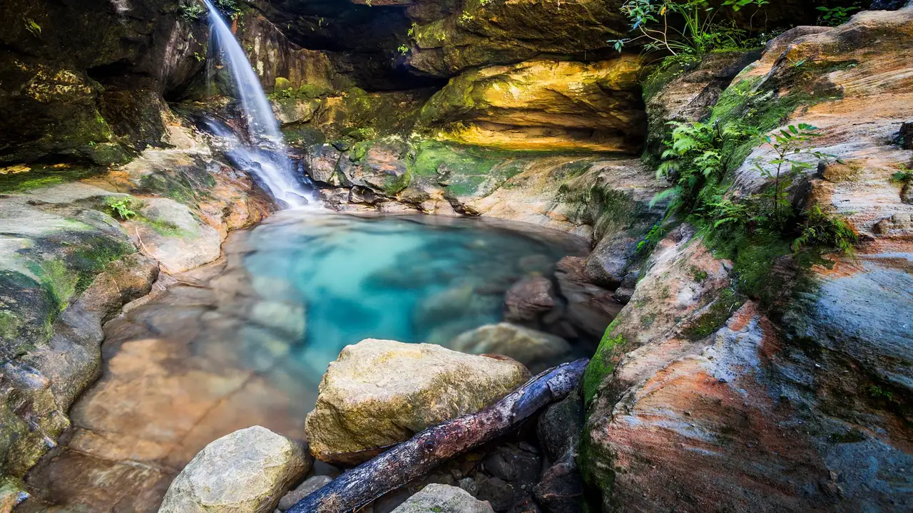 Animais na Cachoeira quebra-cabeça em Cachoeiras quebra-cabeças em