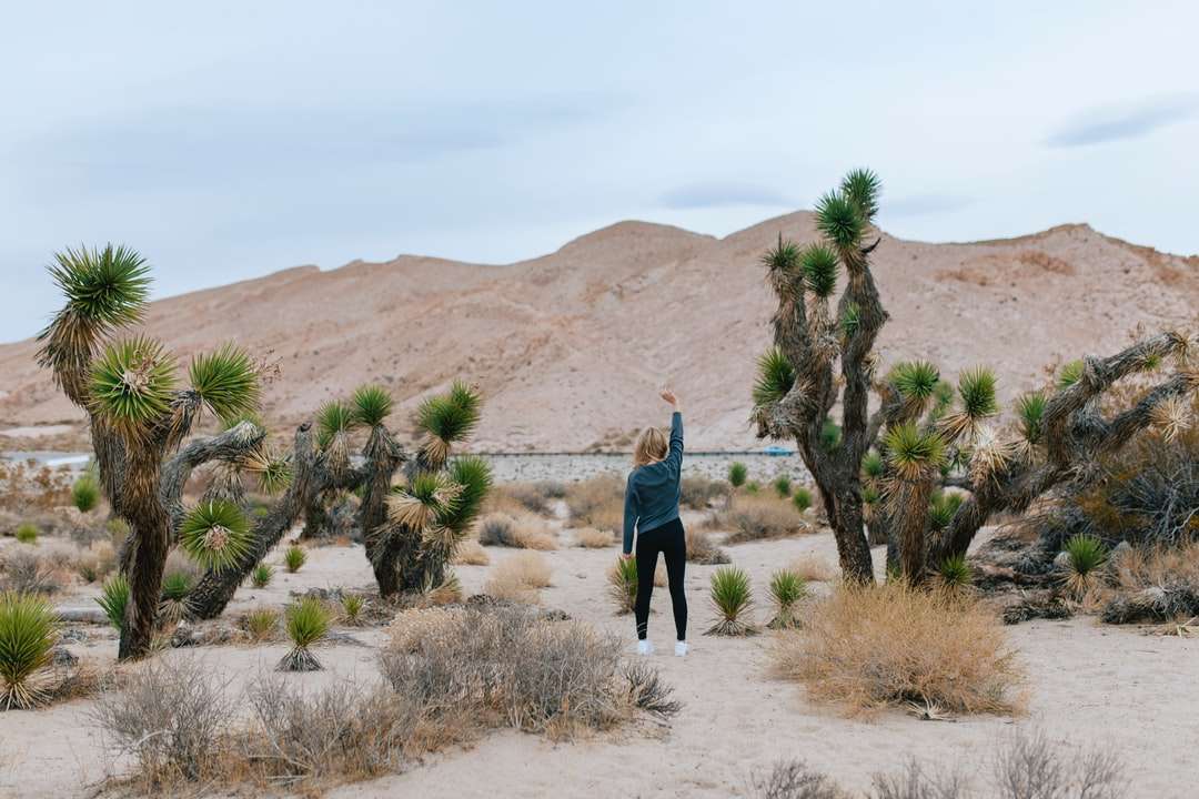 昼間に茶色の砂の上に立っている青いジャケットの男 オンラインパズル