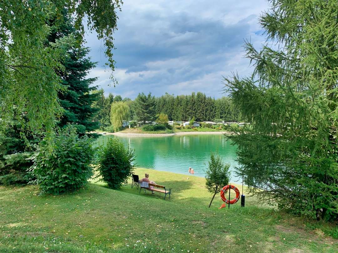 árvores verdes perto do lago sob céu nublado durante o dia puzzle online